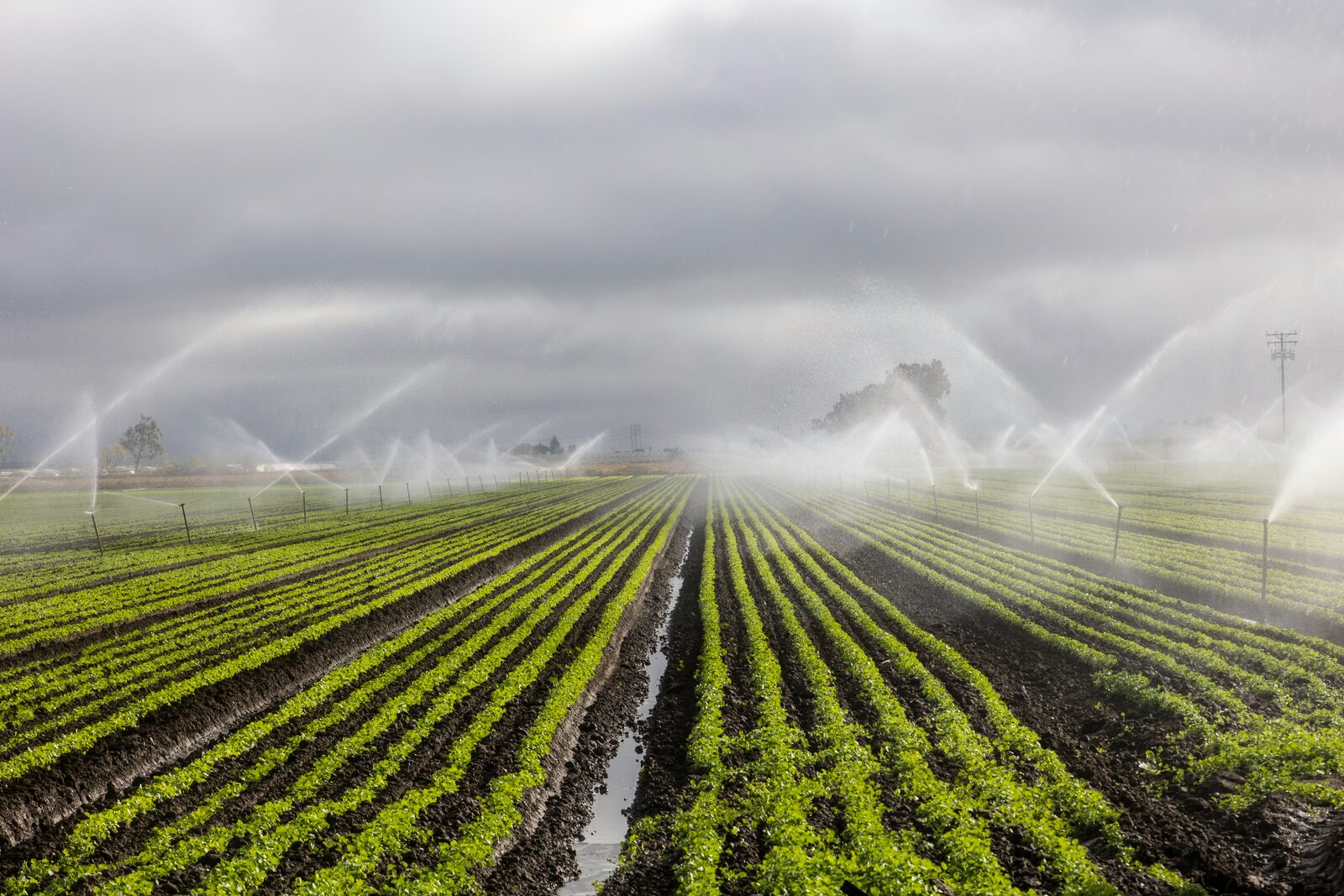 Smart Irrigation IoT solution